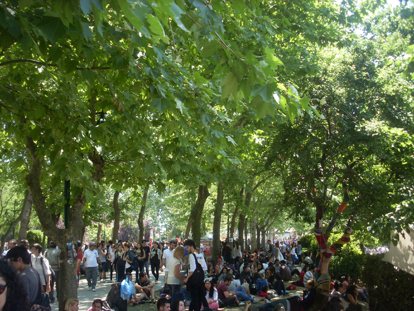 Gezi Park Istanbul 2013